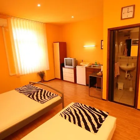 Guest house Zona 3*