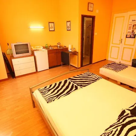 Guest house Zona 3*